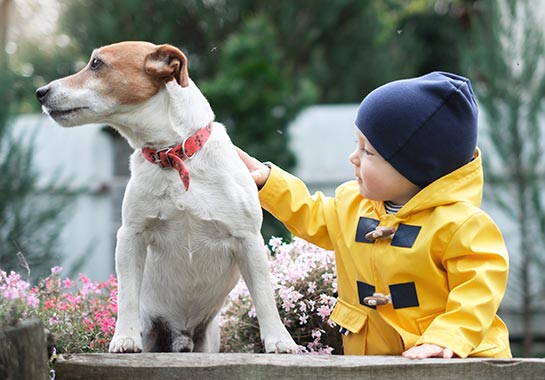 Menino com mais ou menos 2 anos com touca e casaco amarelo fazendo carinho em cachorro de cor branca com marrom - Clínica do Pulmão