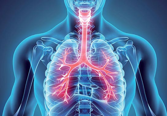 Esquema em neon que mostra o pulmão e a via respiratória - Clínica do Pulmão